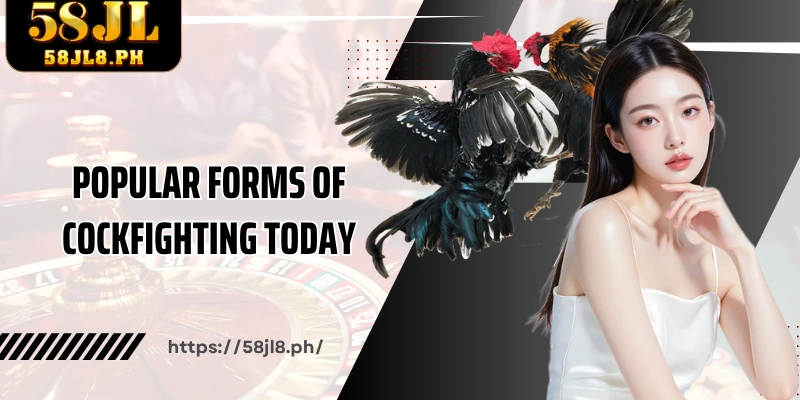 Popular forms of cockfighting today