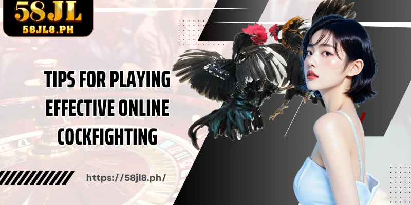 Tips for playing effective online cockfighting