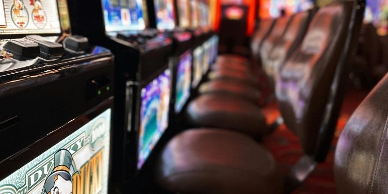 Together, they diversify the casino experience.
